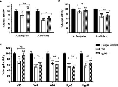 Detailed characterisation of invasive aspergillosis in a murine model of X-linked chronic granulomatous disease shows new insights in infections caused by Aspergillus fumigatus versus Aspergillus nidulans